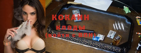 индика Алексин