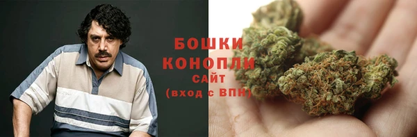 дурь Алзамай