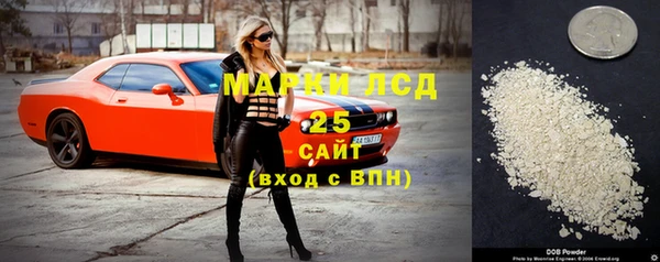 индика Алексин